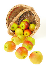 Image showing Fresh apples spilling out of basket - isolated on white background. Clipping path included.