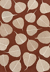 Image showing Skeletal leaves over brown handmade paper - background