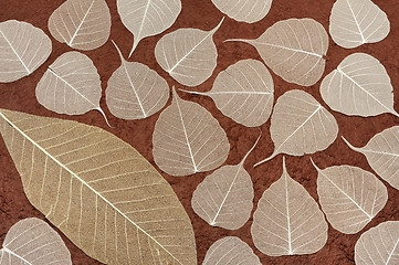 Image showing Skeletal leaves over brown handmade paper - background