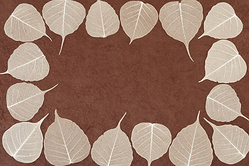Image showing Skeletal leaves over brown handmade paper - frame