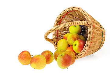 Image showing Fresh apples spilling out of basket - isolated on white background. Clipping path included.