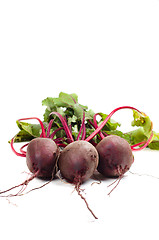 Image showing Beet in studio