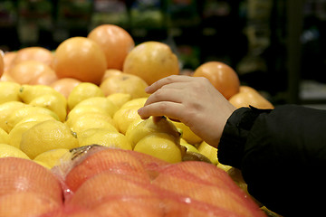 Image showing picking lemon