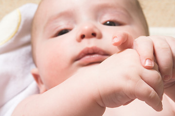 Image showing baby hand