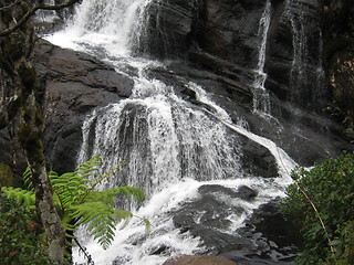 Image showing Baker falls, Ceylon