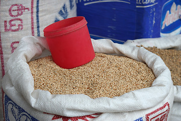 Image showing Millet