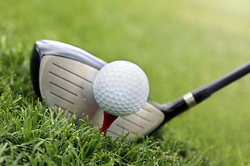 Image showing 	Golf club and ball in grass