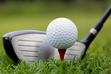 Image showing Golf club and ball in grass