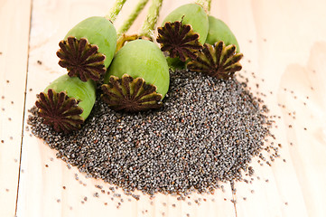 Image showing Poppy seeds and poppy heads 
