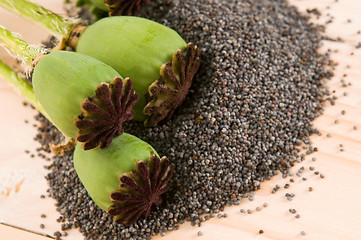 Image showing Poppy seeds and poppy heads 