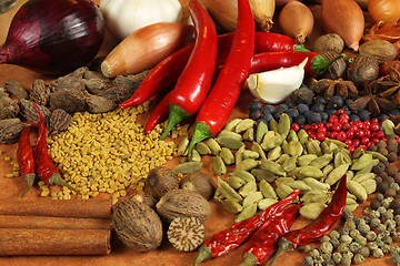 Image showing Spices composition