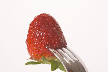 Image showing strawberry