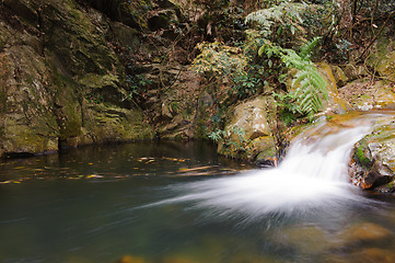 Image showing Mountain stream