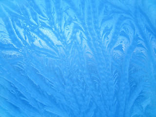 Image showing winter glass