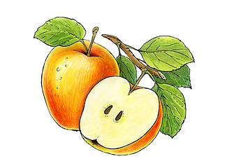 Image showing two apples