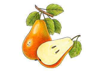 Image showing two juicy pears