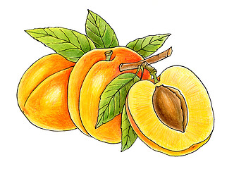 Image showing three juicy peaches