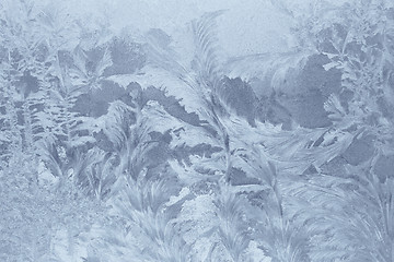 Image showing ice patterns