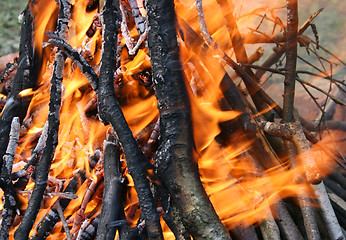 Image showing burning wood in fire