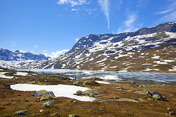 Image showing Haukeli in the summer