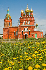 Image showing Church and camomiles