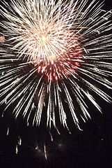 Image showing Fireworks flower