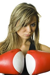 Image showing Boxing girl