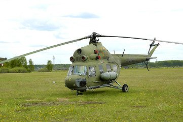 Image showing Helicopter in airport