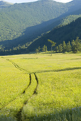 Image showing Yellow road in mountains