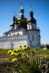 Image showing Dandelion and church