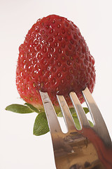 Image showing strawberry macro