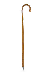 Image showing Walking stick