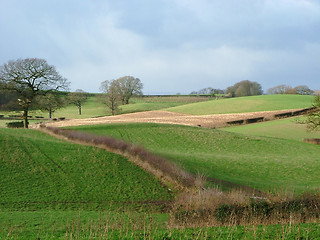 Image showing english fields