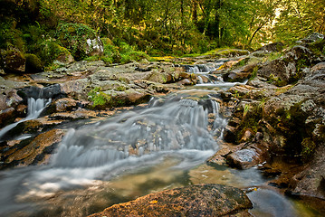 Image showing River stream in Portugal