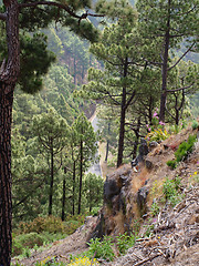 Image showing the road to the gorge