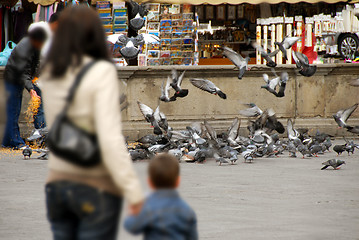 Image showing Feeding pigeons in Padua