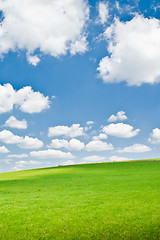 Image showing agriculture landscape