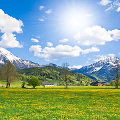 Image showing alpine landscape