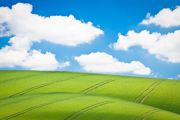 Image showing green field