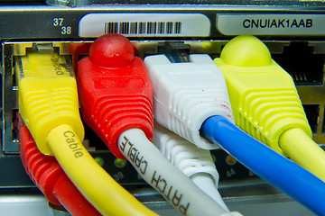 Image showing ethernet cables