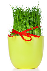 Image showing easter grass