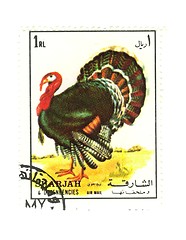 Image showing arabic stamp