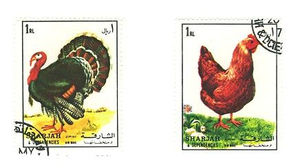 Image showing arabic stamp