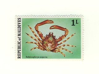 Image showing stamp from maldives