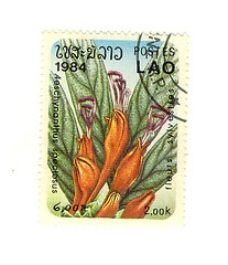 Image showing stamp from laos