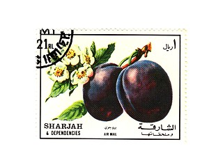 Image showing arabic stamp