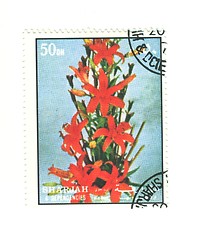 Image showing arabic stamp