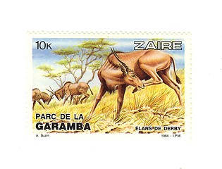 Image showing congolese stamp