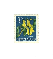 Image showing new zealander stamp