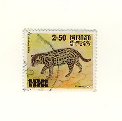 Image showing stamp from sri lanka